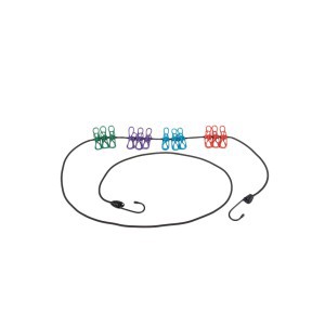 Virvė skalbiniams elastinė su segtukais 12 vnt. 180-200 cm  27274