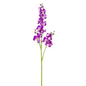 Dekoratyvinė gėlė Orchidėja rausva (24) h 60 cm SAVEX