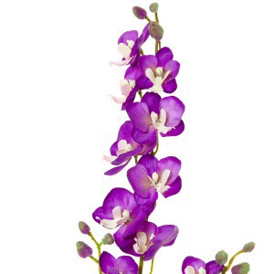 Dekoratyvinė gėlė Orchidėja rausva (24) h 60 cm SAVEX