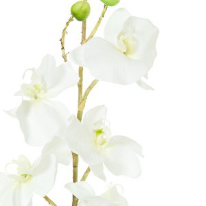 Dekoratyvinė gėlė Orchidėja balta/rožinė (12) h 90 cm SAVEX