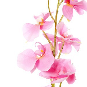 Dekoratyvinė gėlė Orchidėja balta/rožinė (12) h 90 cm SAVEX