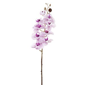 Dekoratyvinė gėlė Orchidėja alyvinė/žalsva (12)  h 77 cm SAVEX