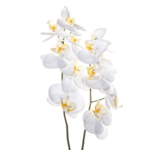 Dirbtinis augalas Orchidėja su vazonu 11x11x50 cm balta 4Living 612530