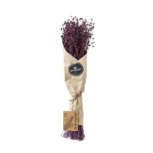 Džiovinta puokštė (mix - 2 spalvų) 50 cm Giftdecor 90453