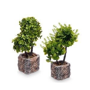 Dekoratyvinis augalas su vazonu Bonsai (mix) 9x9x27 cm Ibergarden 60986