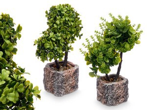 Dekoratyvinis augalas su vazonu Bonsai (mix) 9x9x27 cm Ibergarden 60986