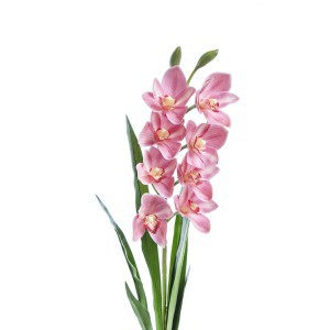 Dekoratyvinė gėlė Orchidėja mix 4 h 73 cm K03977