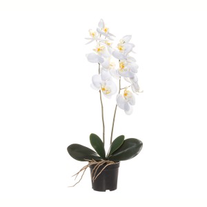 Dirbtinis augalas Orchidėja su vazonu 11x11x50 cm balta 4Living 612530