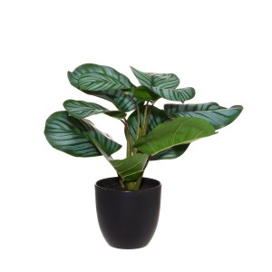 Dirbtinis augalas Maranta su vazonu 35x32x40 cm 4Living 623177